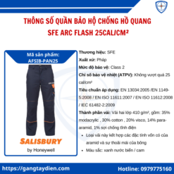 Quần bảo hộ chống hồ quang SFE, quần áo chống hồ quang điện, quần chống hồ quang điện SFE, quần chống hồ quang penta regeltex, eco3d, bảo hộ điện eco3d,